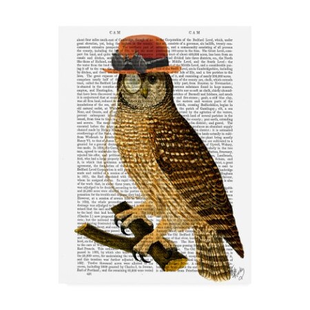 Trademark Fine Art Fab Funky 'Owl With Steampunk Style Bowler Hat' Canvas Art, 35x47 WAG12553-C3547GG